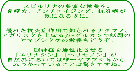 �X�s�����i�̖L�x�ȉh�{���B �Ɖu�́A�A���`�G�C�W���O�A�R���ǂ� �C�ɂȂ���ɁB   �D�ꂽ�R���Ǎ�p�Œm����i�^�}���A �A�K���X�N�������-�O���J���Řb��� ���}�u�V�^�P�̉h�{���ǂ����B   �]�_�o�������������� �u�G���i�V���v�u�w���Z�m���v�� ���R�E�ɂ����Ă͗B�ꃄ�}�u�V������ �݂����Ă��邱�Ƃ͋����ł��ˁB